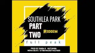 05/KING CULTURE X C SQUARE SUMMER SOUTHLEA PARK PART TWO RIDDIM PROD BY SIMBA B MUTUMWA WEMA BEATS