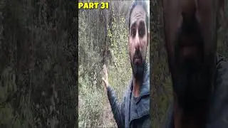 Exploring a Hidden Jungle from My Childhood | Aunty Home Tour