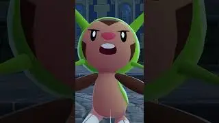 Chespin Wants To Battle a Taxi Again!
