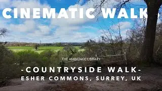 Esher Commons, Surrey Walk -  // Walking Tour 4K
