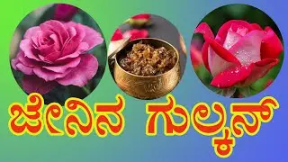 ಜೇನಿನ ಗುಲ್ಕನ್, Honey gulkan 