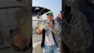 Striped Bass Fishing at the Lake Part 2 // Clarkshill Lake Fishing for Fathers&rsquo; Day