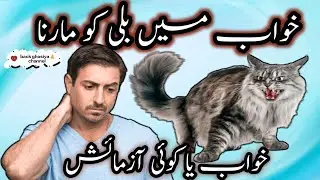 Cat dreams||khwab mein billi dekhna||Cat attack dream interpretation||billi dekhna||Cat||