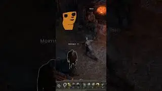Finally | Path of Exile II: Part 1