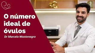 O número ideal de óvulos para uma FIV