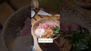 Cafe​ Pet friendly in Bangkok #foodchannel #petfriendly #foodvideo #cafepet #food #vlogs