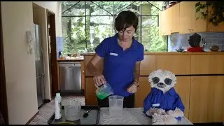 Let's make some bubbles! | At Home Science Activity | Scitech WA