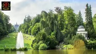 campidizeus kommt zu kassel
