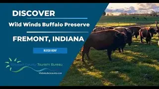 Wild Winds Buffalo Preserve - Produced by the Steuben County Tourism Bureau