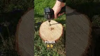 Parkside performance impact Part 1 #parkside #impact #lidl #forestdoctor