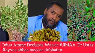 Oduu Amme Deebisa Waa,ee #Jimaa Dr Ustaz Rayyaa abbaa maccaa waan Ajaa,ibaa #ethiopia#jimaa #oro 