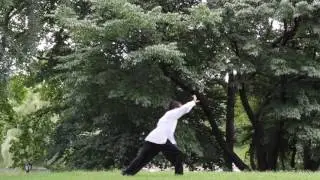 Liu He Ba Fa as taught by GM Wei Lun Huang