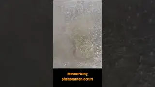 Don't Blink! Mesmerizing Time-Lapse of Oil vs. Water Dance-off!