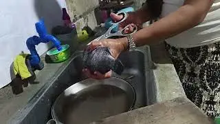 Paksiw na tilapya