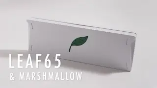 Leaf65 (FR4 Plate) with lubed Marshmallow Typing Test