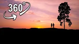 sunset Backlight cinematic | VR 360&deg;