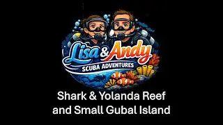 Red Sea Liveaboard 2026 Pt 5: Shark & Yolanda Reef and Small Gubal Island