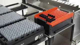 Beeline ZX300 - Sample Archiva