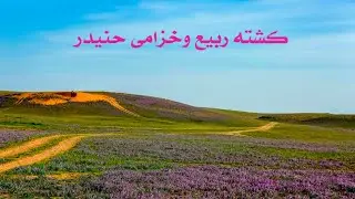 كشتة الزلفي حنيدر جراب الارطاوية 1-8-1446