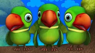 Parrots🦜 eating Green💚 Vegetable🥬 by his feet🐾|Parrot use their feet to hold food for eating #parrot