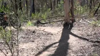 Dynamic Motivation Mountain Bike Tutorial- Hill Climbs