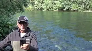 This Thing Smelled Like Feces Urine And Garbage, Another Sasquatch Sighting mp4