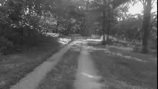 Blak and White