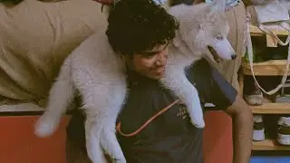My 2nd Vlog | Feeling of posting Vlog | Playing with my baby Husky Saira | Shashank Vijay Salunkhe