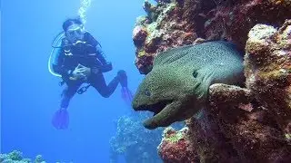 Mövenpick Resort El Quseir, EXTRA DIVERS, tauchen im Roten Meer, Ägypten