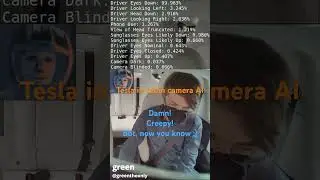 Tesla Vision: How Does it Know? 🎥👀 --  In-Cabin AI Camera Stats