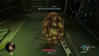 The Outer Worlds 2: Cystypig Ship Pet Location on Cloister