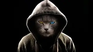 LEX   Dark Progressive Deep House August 2023
