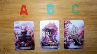 PICK-A-CARD - CONNECTIONS & RELATIONSHIPS - THE REASONS