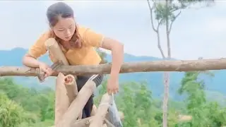 Rural Woman Chops Wood to Build a Simple Life in the Mountains | Daily Village Life