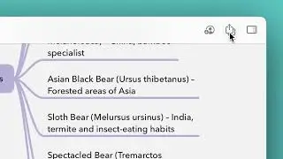 Bear & MindNode