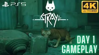 Stray | Cutest Game Of The Year | PS5 Gameplay | 4K HDR