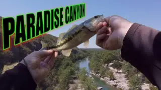 Return to Paradise Canyon