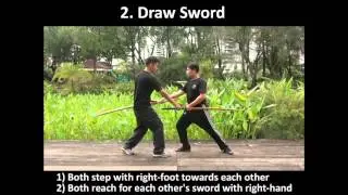 單刀法選 Dandao / Miao Dao Long-Saber Mutual-Draw Stance - DVD Sneak-peak #3