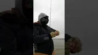 Facebook live - Catching lots of small trout in the river