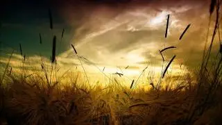 Emotional Horizons & X-Plorations feat. Aneym - Nobody Knows (Original Mix)