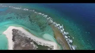 Reel Cayo Arcas | 2019