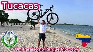 TUCACAS: O Caribe que você precisa conhecer! 🇻🇪✨