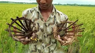 Creative Boy Making Bamboo Fish Trap & Catching Big Catfish