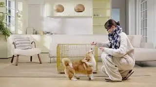 Upgrade Your Pet's Crate Game!