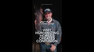 Why Humanizing Horses Creates Confusion