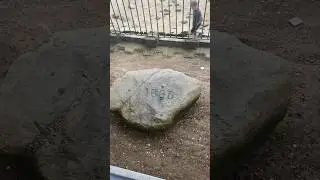 The Worst Tourist Attraction in Massachusetts is PLYMOUTH ROCK&hellip; A Disgrace to AMERICA!!! #shorts