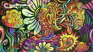 Mr Melty Artist Spotlight
