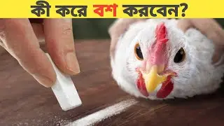 কি করে বশ করবেন ?  2 Animal's hypnotizing tips 🔥 #shortsfacts #shorts #amazingfacts