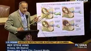 Congressman Steve King speaks on the House Floor on Fetal Pain