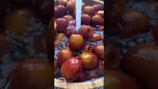 Picking Fresh Chinese Dates/Jujube 🍎from Tree and Sun Dry 🌞#shorts#chinesedates#jujubee